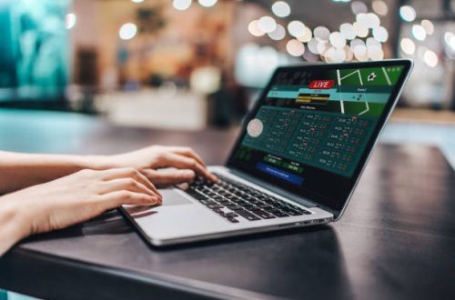 Why the Popularity of casino crypto Keeps Expanding Worldwide