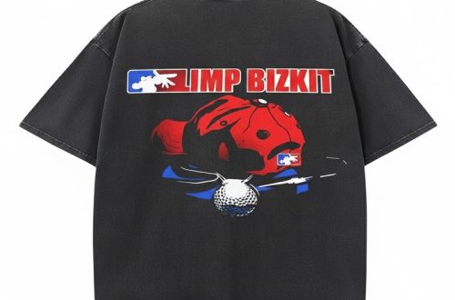 Unique Clothing and Collectibles in the Limp Bizkit Merchandise Collection