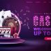 Reviewing Information on Casino Website Directory Pages